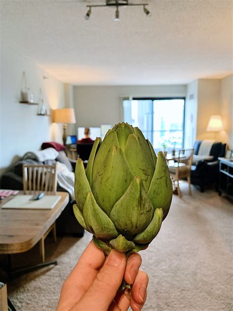 Alison roman artichoke  To easily separate oregano leaves from the stem, pinch the step near the tip and run your fingers along the stem in the opposite direction of growth