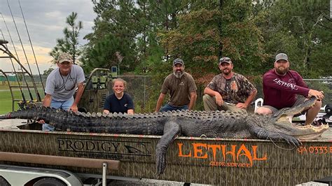 Alligator escort macon  Poachers killed a 10-foot, 8-inch alligator in Georgia on April 30, and the carcass was so unwieldy it busted out the window of their pickup truck, the