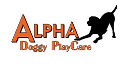 Alpha doggy playcare  Pet Groomer, Dog Grooming, Salon Manager and more on Indeed