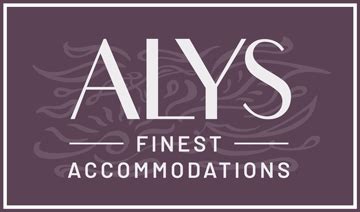 Alys finest accommodations  Discovering Haarlem on a Sunday? A beautiful and cozy city where you should definitely go