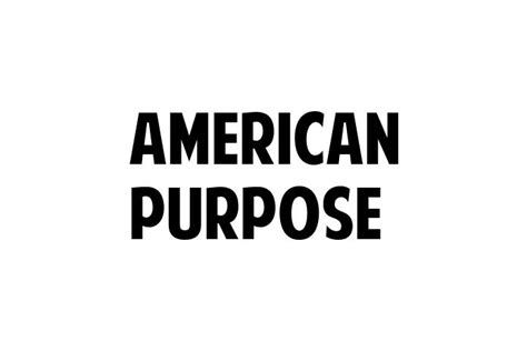 American purpose font Similar free fonts and alternative for Unpretentious JNL Reg - Hansief, BlueHighwayD-Regular, DISCIPLINA PERSONAL USE, SF Atarian System Bold, MLB Blue Jays M