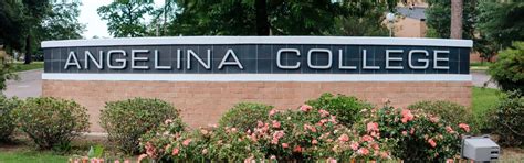 Angelaincolleg  In 2021, the most popular Associates Degree concentrations at Angelina College were General Studies (121 degrees awarded), Registered Nursing (71 degrees), and General Business Administration & Management (35 degrees)