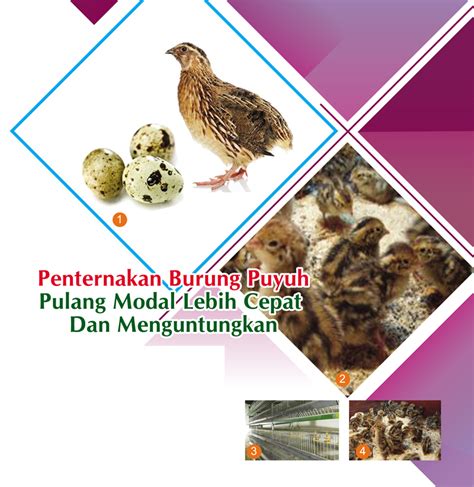 Angka burung puyuh Dimuat dalam Si Kecil Imigran Tangguh: Puyuh terbitan Trubus burung puyuh jepang (Coturnix coturnix japonica) dianggap sebagai subspesies puyuh Eropa Coturnix coturnix yang bermigrasi dari wilayah Eropa ke Asia