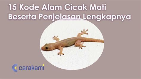 Angka cicak mati  25 Agustus 2021 Syair Hongkong Pools