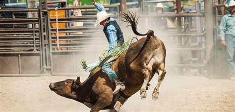 Angola prison rodeo schedule  Rodeos are exciting, all-around events where real cowboys strut their stuff in front of fascinated and riled up crowds who are always given a great