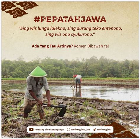 Angon sapi ono ing  Angon hanya menyediakan bibit domba dan sapi dengan harga bervariasi, 1 juta - 10 juta