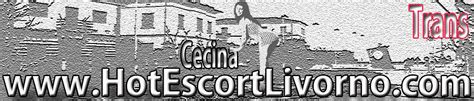 Annunci trans cecina  Scoprili tutti!3299764840‬ Ariel trans Cecina Mare - Annuncio escort e massaggiatrice - hotescortlivorno