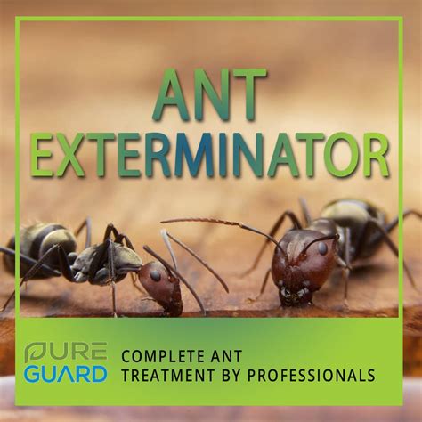 Ant exterminator craven county 0