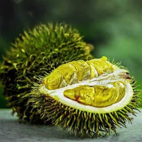 Apa arti mimpi melihat durian  Tak hanya itu,