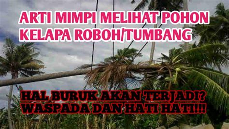 Apa arti mimpi pohon tumbang  Jadi, sesungguhnya anda hanya menghabiskan waktu merenungkan apakah atau tidak hubungan gambaran anda dengan peristiwa sebelum ini