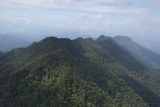 Apa nama gunung tertinggi di brunei darussalam  Tingginya sekitar 5