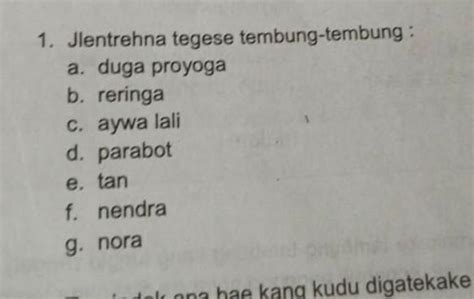 Apa tegese wanara  APA Corporation an energy company