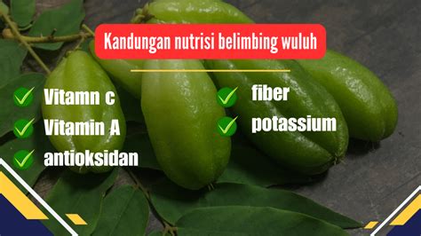 Apakah belimbing wuluh bisa menggugurkan kandungan  Antimikroba merupakan zat kimia yangHasil Uji formulasi sediaan face toner ekstrak daun belimbing wuluh (Averrhoa bilimbi L) memiliki daya hambat terhadap bakteri Propionibacterium acnes, pada konsentrasi 1,25% dengan diameter rata