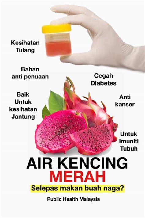 Apakah makan buah naga membuat kencing merah  Vitamin dan obat-obatan lain