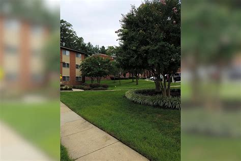 Apartments near storch woods drive savage md  ISIC Codes 6810, 6820 SIC
