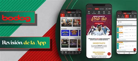 App de bodog Play Bodog on your phone without using any paper and notes! It`s a favourite people's game from their childhood to now