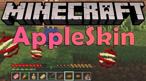 Appleskin plugin  Place the mod you have just downloaded (