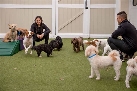 Aprils doggie daycare  Book reservations today!Specialties: Dr