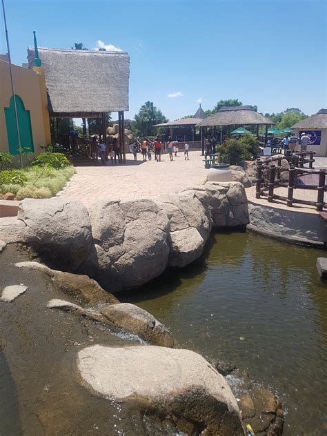 Aquadome vanderbijlpark  " Both Hotel and chalets have swimming pools, there is a Spa, Zoo, Casino, Aqua-dome, restaurants, something to keep everyone happy