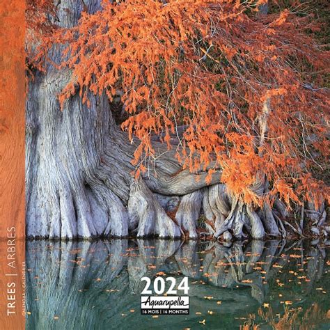 Calendrier marque-pages - 2024 - Aquarupella - 16 mois - Nénuphar