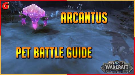 Arcantus pet battle  You can complete Family Battler of the Dragon Isles by just meeting the required text of the battle achievements: "Defeat the elite pets and trainers of the Dragon Isles with a team of all level 25 XX pets