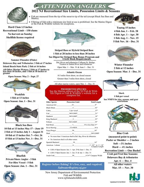 Area 17 fishing regulations  Saltwater Publications