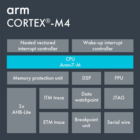 Arm cortex m4 endianness  STM32WB55VGY6TR