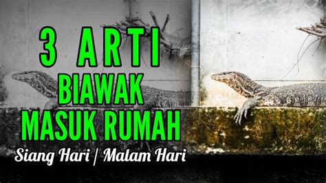 Arti biawak masuk rumah siang hari Apa makna bermimpi biawak masuk rumah