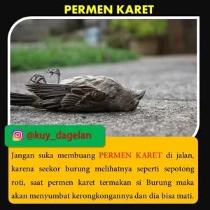 Arti burung mati di depan rumah  Arti burung mati di depan rumah yang pertama adalah