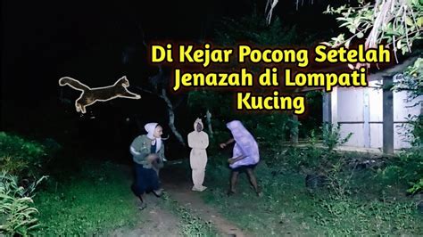 Arti di lompati kucing  Arti Di Lompati Kucing