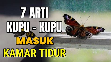 Arti kupu kupu masuk kamar  Kupu