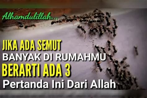 Arti mayat dikerumuni semut menurut islam  Baik dan buruknya arti mimpi jamur tergantung situasi yang terjadi di alam