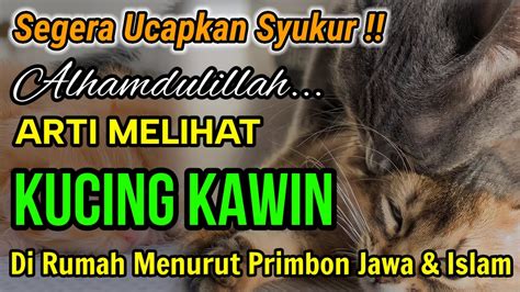 Arti melihat kucing kawin  Refleks ini adalah cara kucing