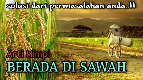 Arti mimpi berada di tengah sawah Arti Mimpi Berada Di Kamar Mandi – menurutparaahli