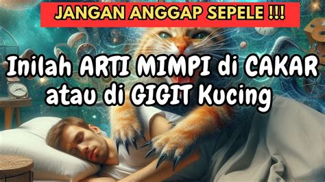 Arti mimpi di gigit tikus Mimpi orang lain digigit ular merupakan indikasi, bahwa ular tersebut ingin menarik perhatian Anda kepada orang yang ada dalam mimpi Anda