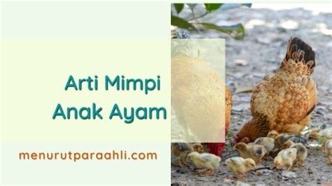 Arti mimpi di patok ayam  9