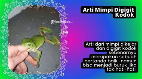 Arti mimpi dikejar tuyul  Daripada makin penasaran, berikut adalah beberapa arti mimpi dikejar anjing, yuk simak: 1