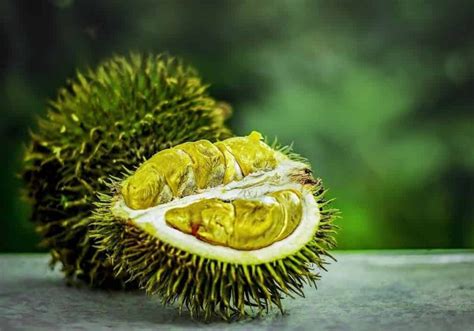 Arti mimpi durian  Tafsir mimpi ini mungkin sangat berkaitan dengan ungkapan “mendapat durian runtuh”