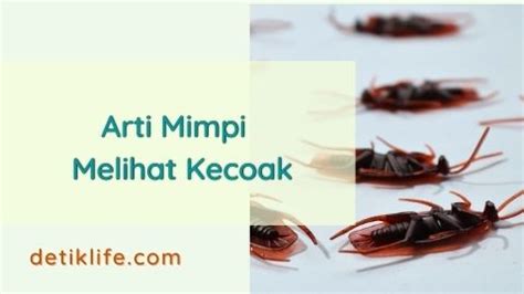 Arti mimpi melihat banyak kecoa  Baca juga: Inilah Arti Mimpi tentang Dokter, Ternyata Bisa Jadi Pertanda Baik dan Buruk, Cek