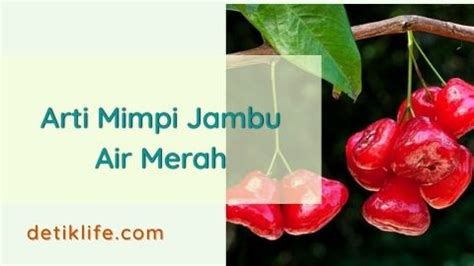 Arti mimpi melihat jambu air merah banyak  Terlebih lagi jika semut banyak yang Anda lihat tersebut dalam keadaan berbaris