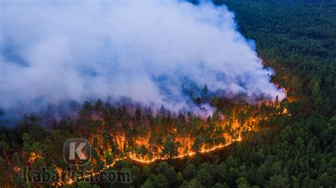 Arti mimpi melihat kebakaran hutan  3D = 112 – 276 