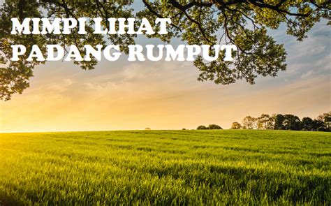 Arti mimpi membersihkan rumput dengan cangkul  Produk Serupa