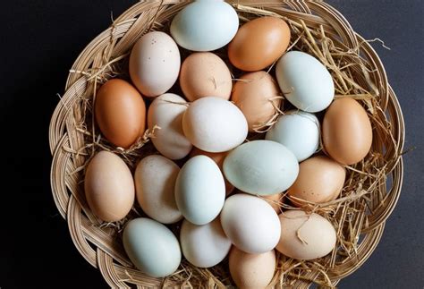 Arti mimpi nemu telur banyak Jika Anda memimpikan satu telur di keranjang maka arti mimpi telur ini menunjukkan bahwa Anda memiliki banyak pilihan dalam sebuah proyek atau keinginan