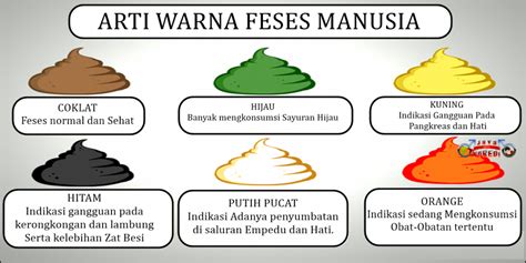 Arti warna feses hitam Cara Deteksi Kesehatan bayi dari PUP nya, Setiap Warna Punya Arti Klinis