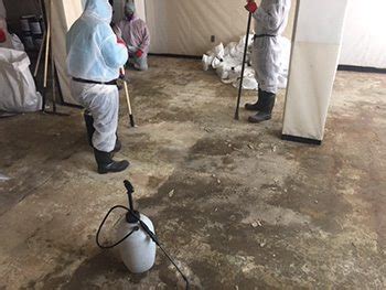 Asbestos abatement greensboro com