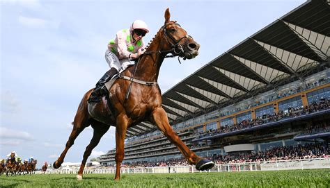 Ascot stakes handicap  The winners of the Britannia Stakes often go on to become high-class handicappers and occasionally Group horses