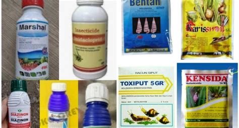 Aseton bersifat  Gunawan (2009) menyatakan bahwa fraksinasi MSK dengan pelarut heksana menghasilkan konsentrat dengan total rendemen bobot dan total recovery β-karoten yang lebih tinggi, sedangkan dengan pelarut aseton menghasilkan tingkat pemekatan β-karoten yang lebih tinggi