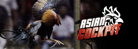 Asian cockfighting register login sabong To get started, simply visit the Sabong Online Registration website and create an account