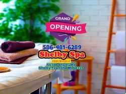 Asian green leaf massage shelby township mi  10 photos