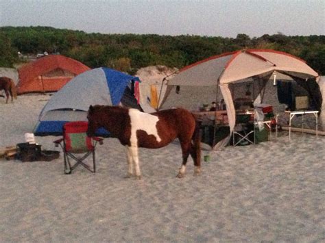 Assateague island camping cabins oncell